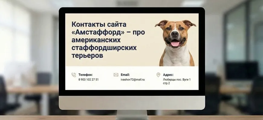 Контакты сайта «Амстаффорд» – про американских стаффордширских терьеров